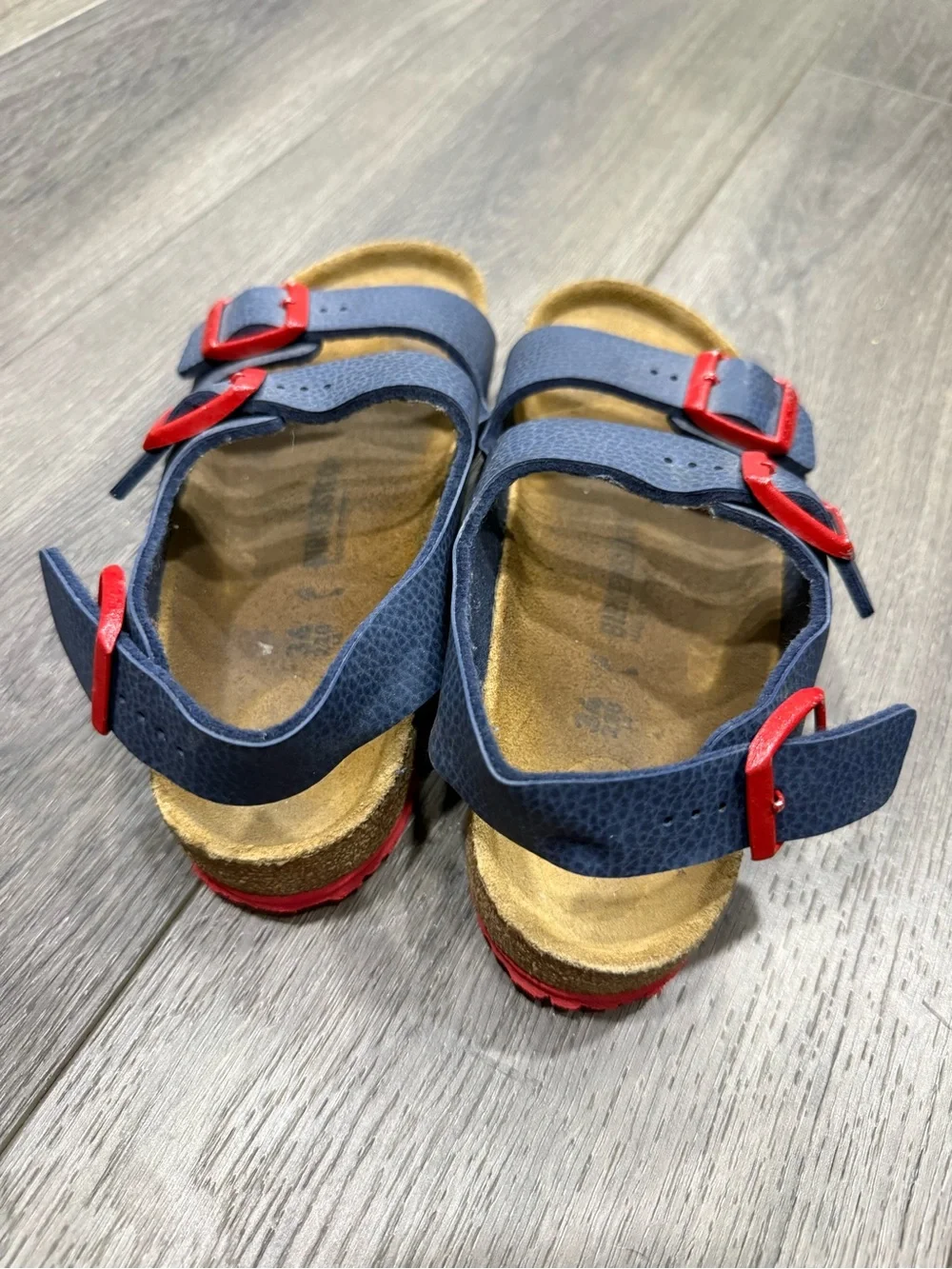 Birkenstock Milano Navy Sandals with Red Buckles